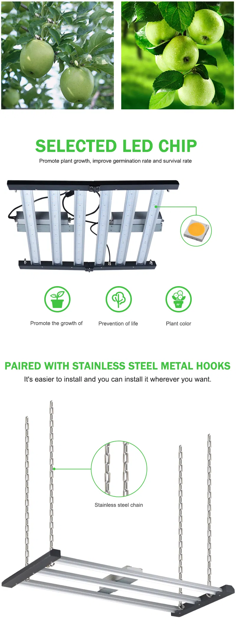 600W New Cheaper 100-277V AC Special Promotion LED Full Spectrum Plant Grow Light Vegetables