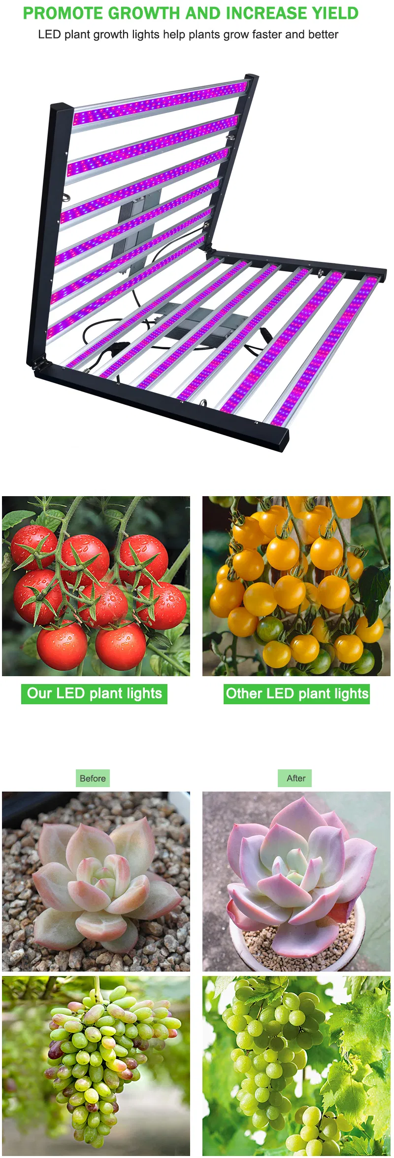 600W New Cheaper 100-277V AC Special Promotion LED Full Spectrum Plant Grow Light Vegetables