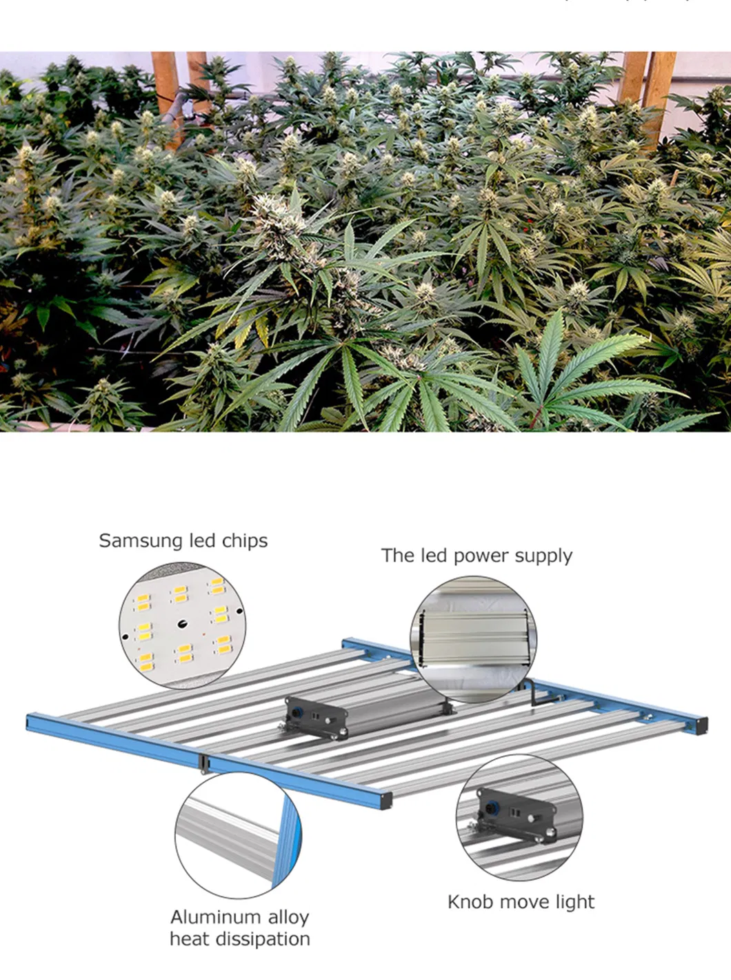 630 Watt CMH High Energy Efficiency Cheap Grow Lights Wholesale Abiba HPS 600W 1000W