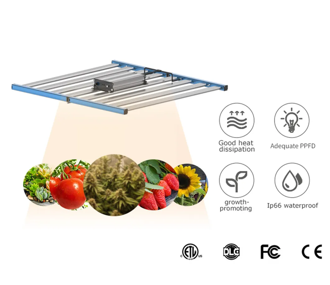 630 Watt CMH High Energy Efficiency Cheap Grow Lights Wholesale Abiba HPS 600W 1000W
