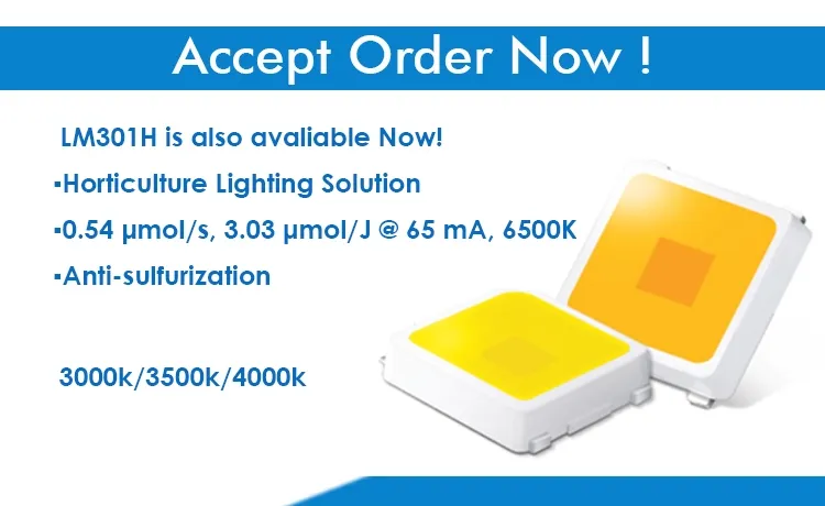 650r Samsung Quantum Bar LED 600W 900W 300W Lm301h Lm301b 3000K 3500K 660nm Full Spectrum LED Grow Light