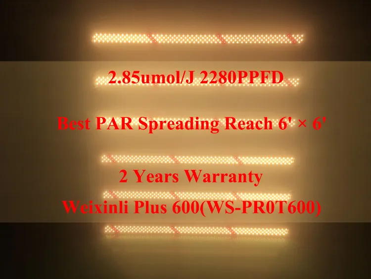 650r Samsung Quantum Bar LED 600W 900W 300W Lm301h Lm301b 3000K 3500K 660nm Full Spectrum LED Grow Light