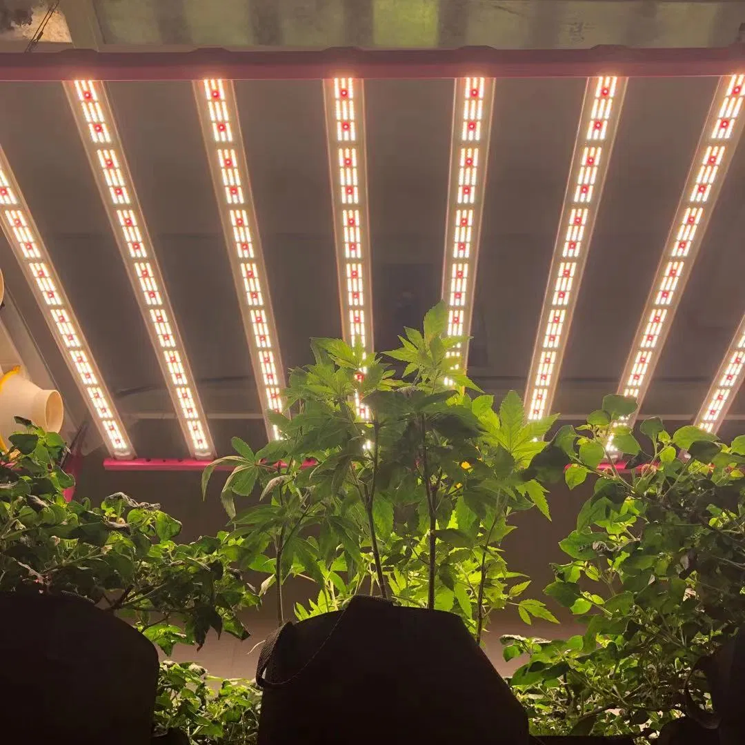 650W LED Grow Light Full Spectrum Growspec