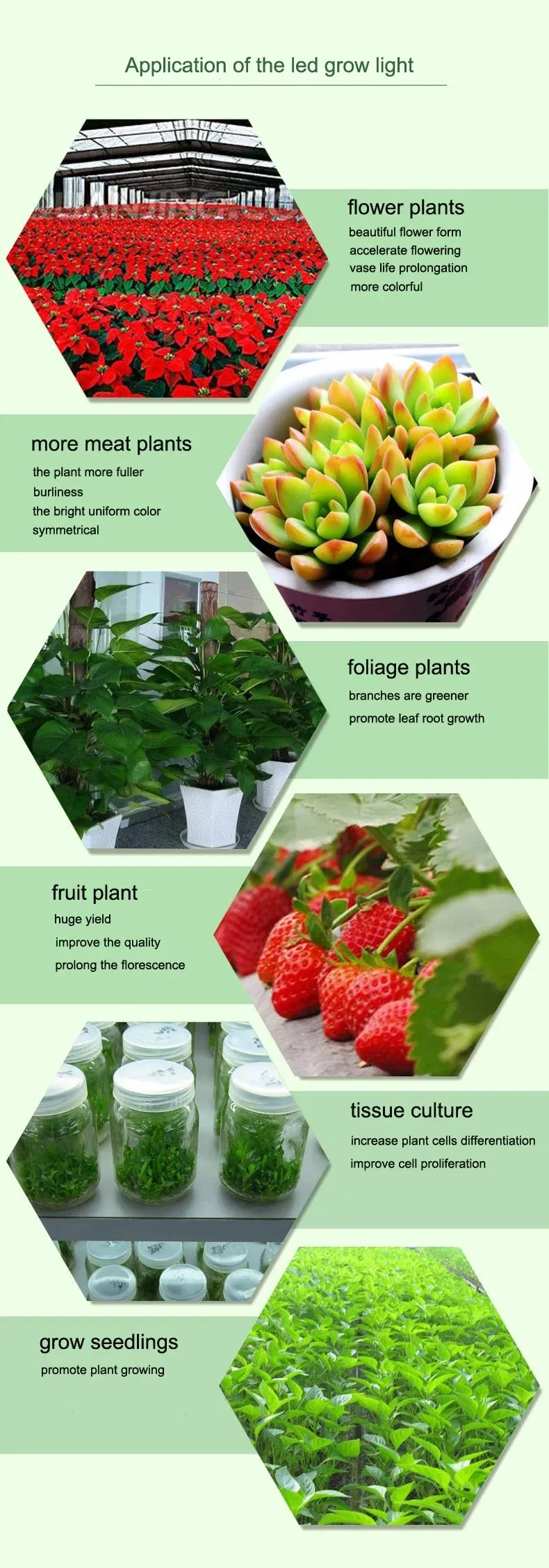 80W LED PAR Full Spectrum Grow Work Light for Home Grower Tent to Supplement Lighting