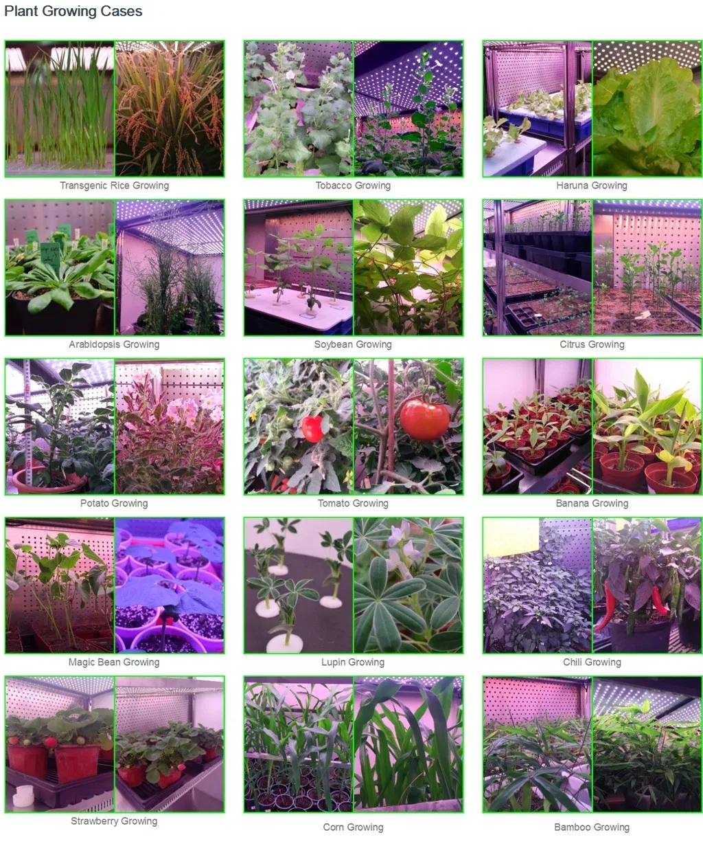 80W LED PAR Full Spectrum Grow Work Light for Home Grower Tent to Supplement Lighting