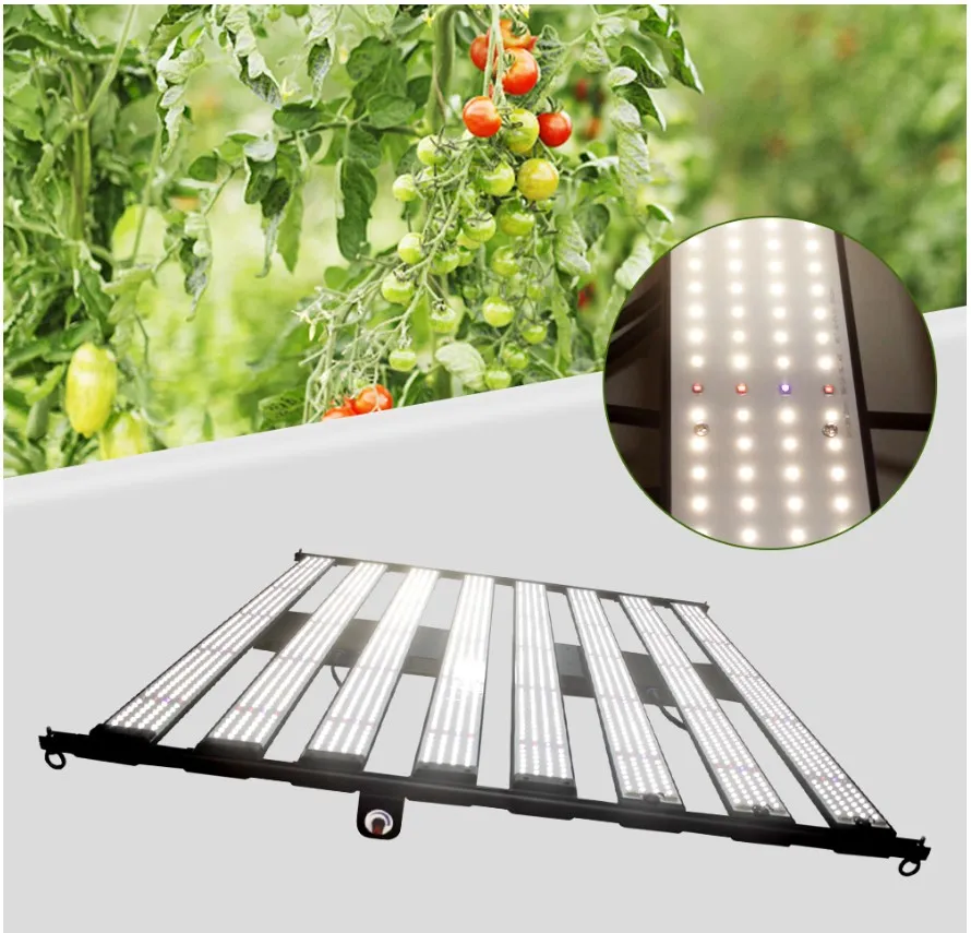 960W LED Grow Lights 2560PCS Full Spectrum Samsug Orsam Chip