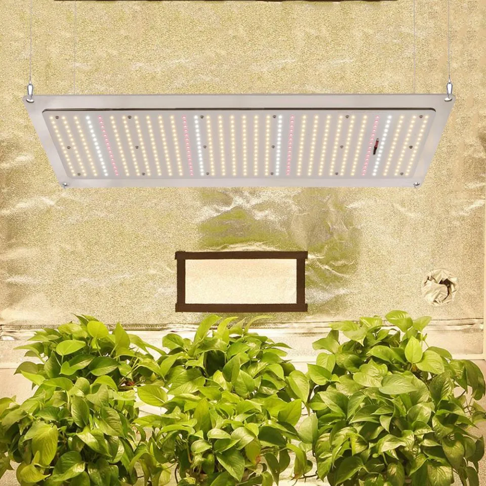 Best Selling Full Spectrum 240W 480W 640W Quantum Board LED Grow Light