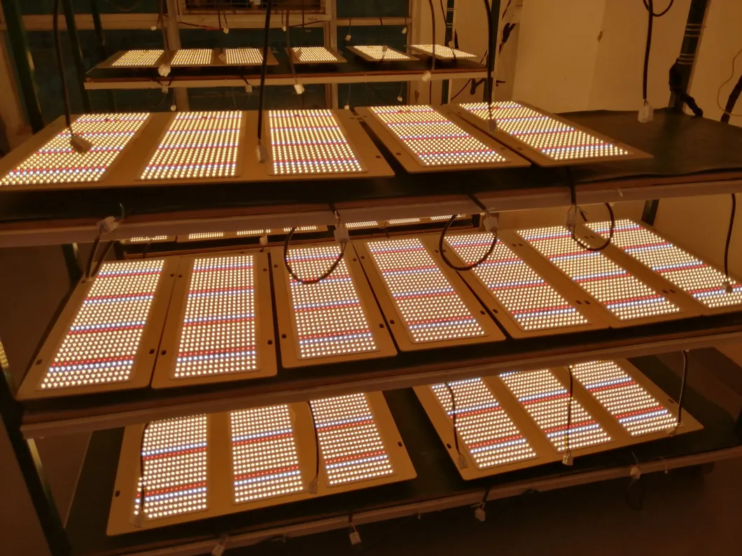 Best Selling Full Spectrum 240W 480W 640W Quantum Board LED Grow Light
