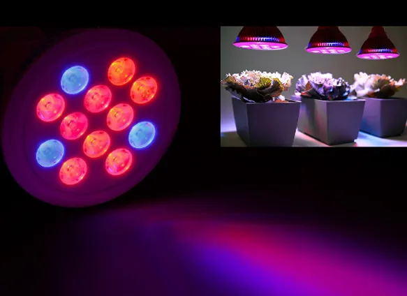 Bonsai Plant PAR38 E27 12W LED Grow Light