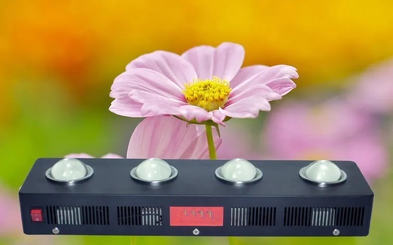 Ce FCC PSE RoHS Certification 500W Sunflowers LED Grow Light