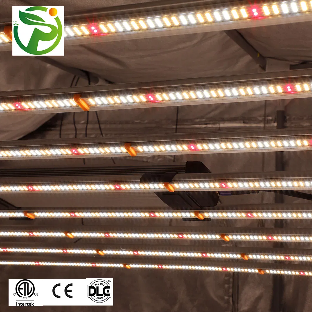 China Factory Wholesale 1000W Watt Full Spectrum Samsung Greenhouse Hydroponic Systems Plant Lamp 8 Bar LED Grow Light