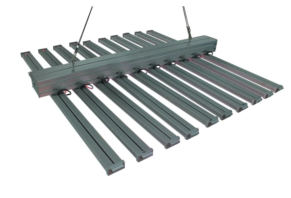Chinese Suppliers Beam Angle Full Spectrum IP65 1000W Waterproof Quantum Board LED Grow Light for Automated Hydroponic