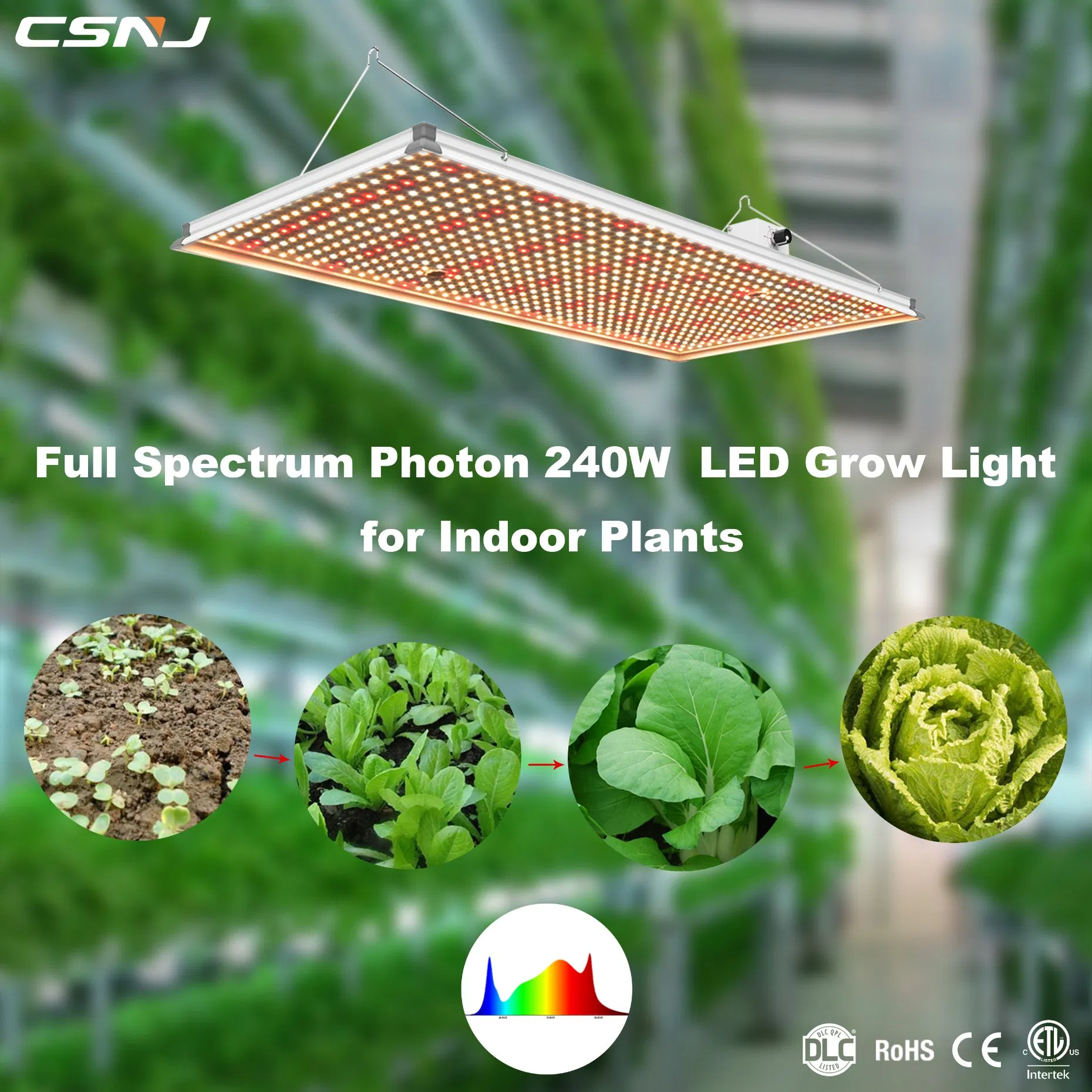 Csnj Tech 2021 Designing Dimmable 240W Lm301h LED Grow Light LED Full Sprectrum Panel Light