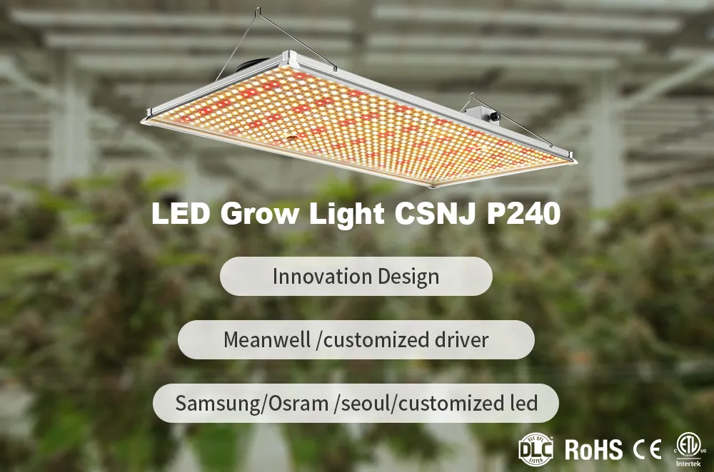 Csnj Tech 2021 Designing Dimmable 240W Lm301h LED Grow Light LED Full Sprectrum Panel Light