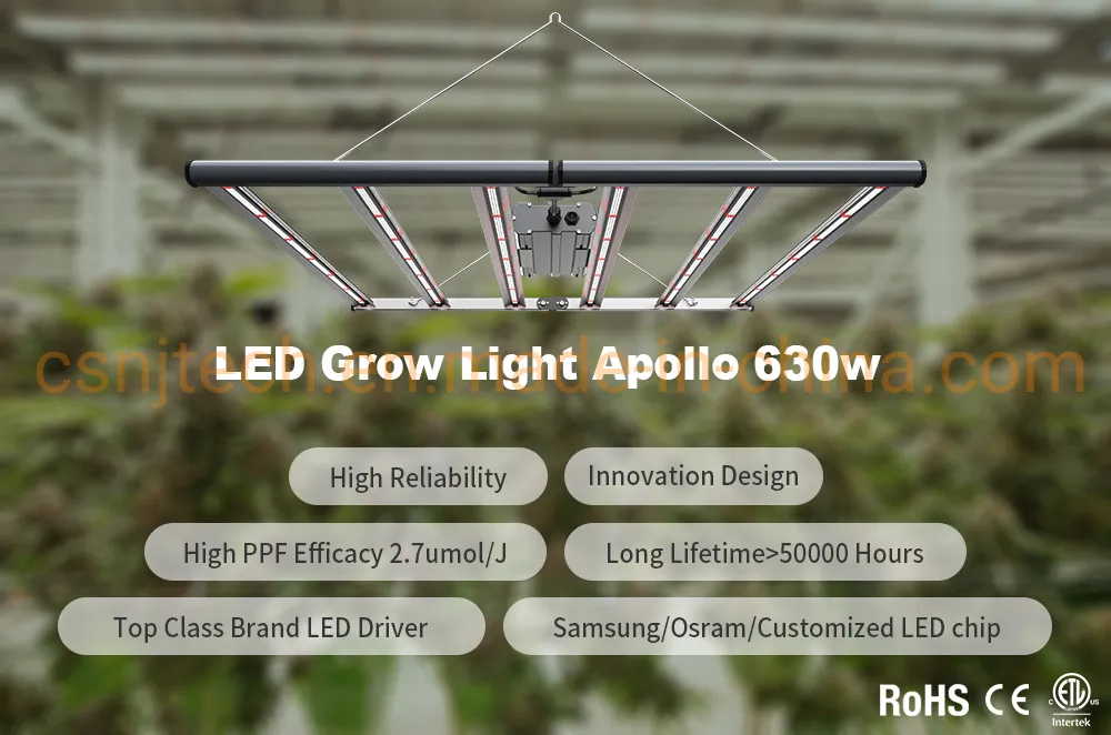 Csnj Tech Beautiful Designing Spydr Type Full Spectrum LED Grow Bar Light (G630 630W) for Growing Daisy Chain