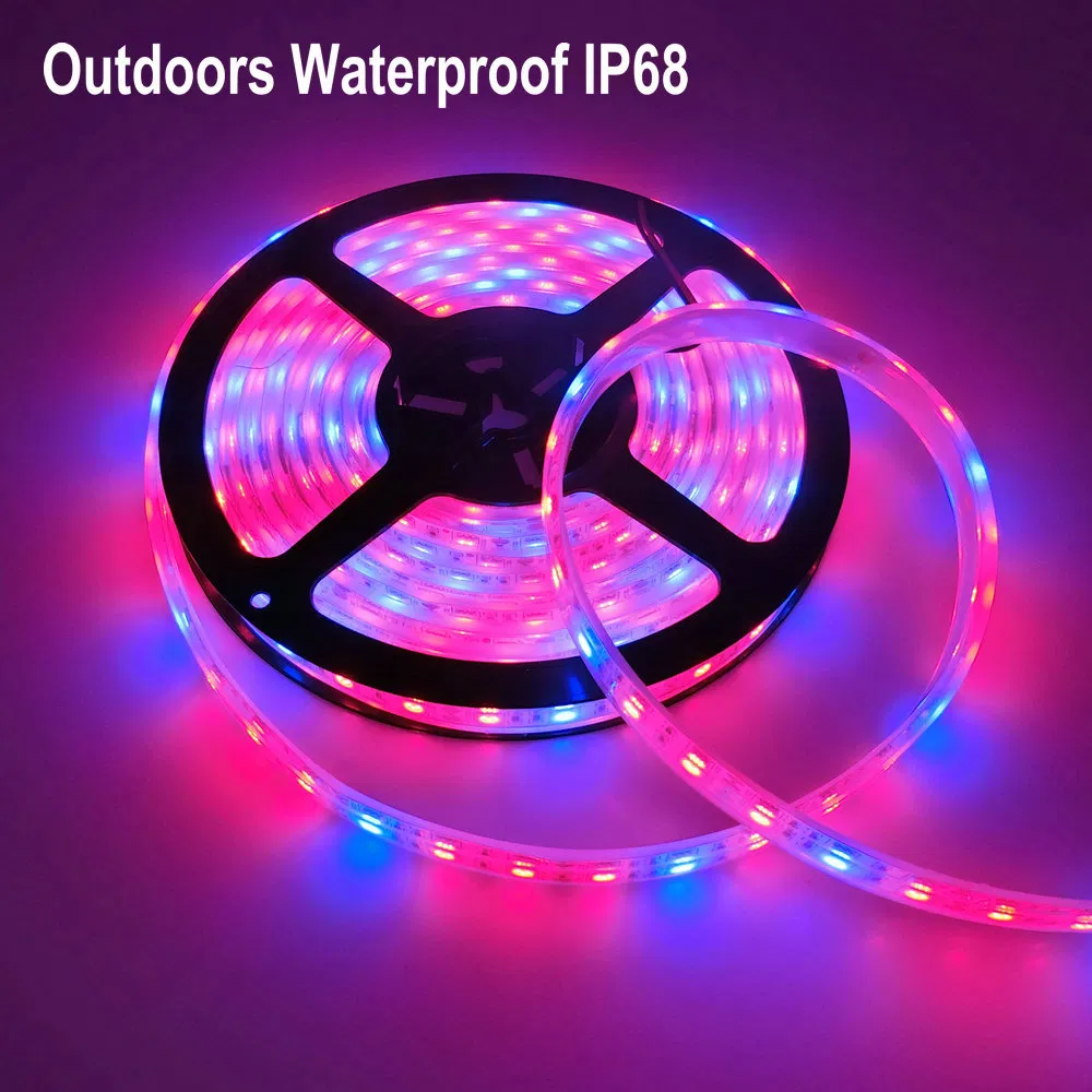 DC12V Full Spectrum 5m 5050 Growing LED Strip for Greenhouse Hydroponic
