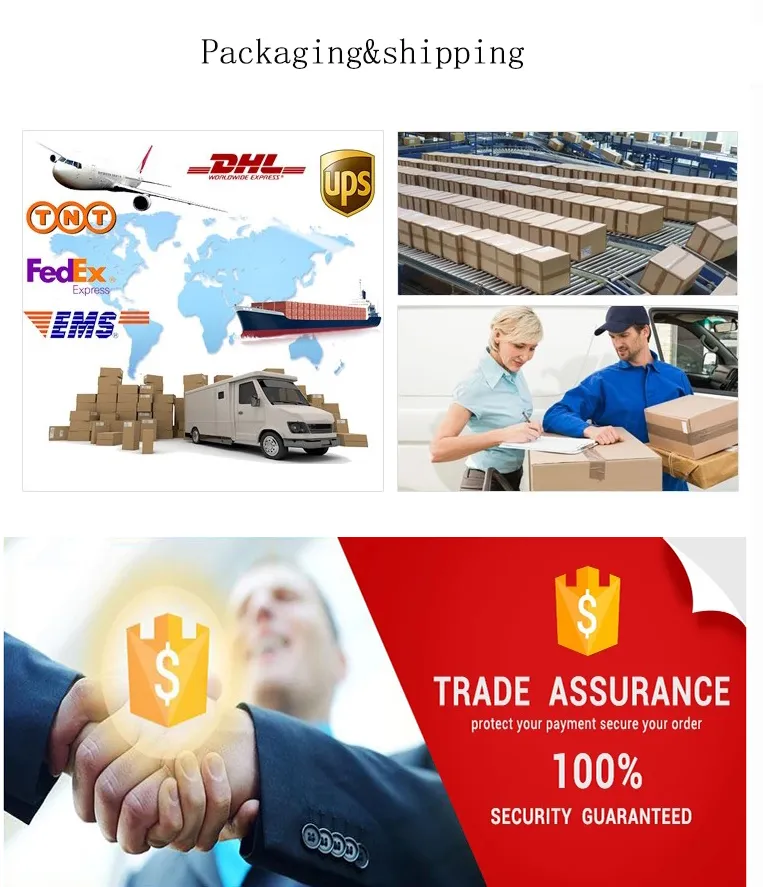 DC5V LED Grow Light with Timer Desktop Clip Phyto Lamps