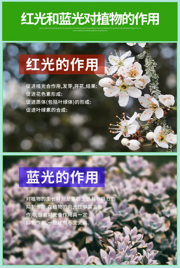 Dimmable Levels 4/8/12h Timer Setting 3 Switch Modes Full Spectrum LED Plant Light