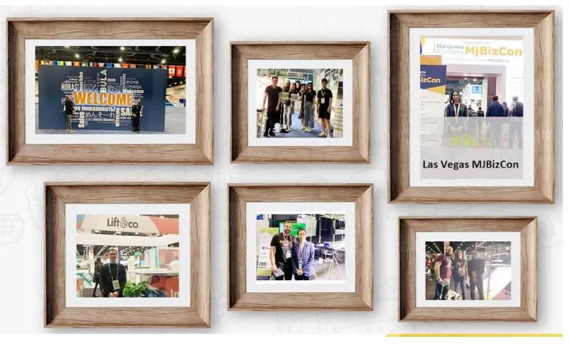 DIY Quantum LED Grow Light with Samsung Lm301b Osr 660nm LEDs and Meanwell Driver