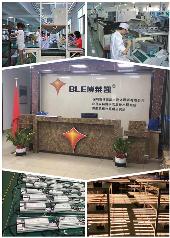 Dlc ETL Certified 5-Year Warranty Commercial Dimmable Greenhouse 660W Full Spectrum Samsung Osr LED Grow Light