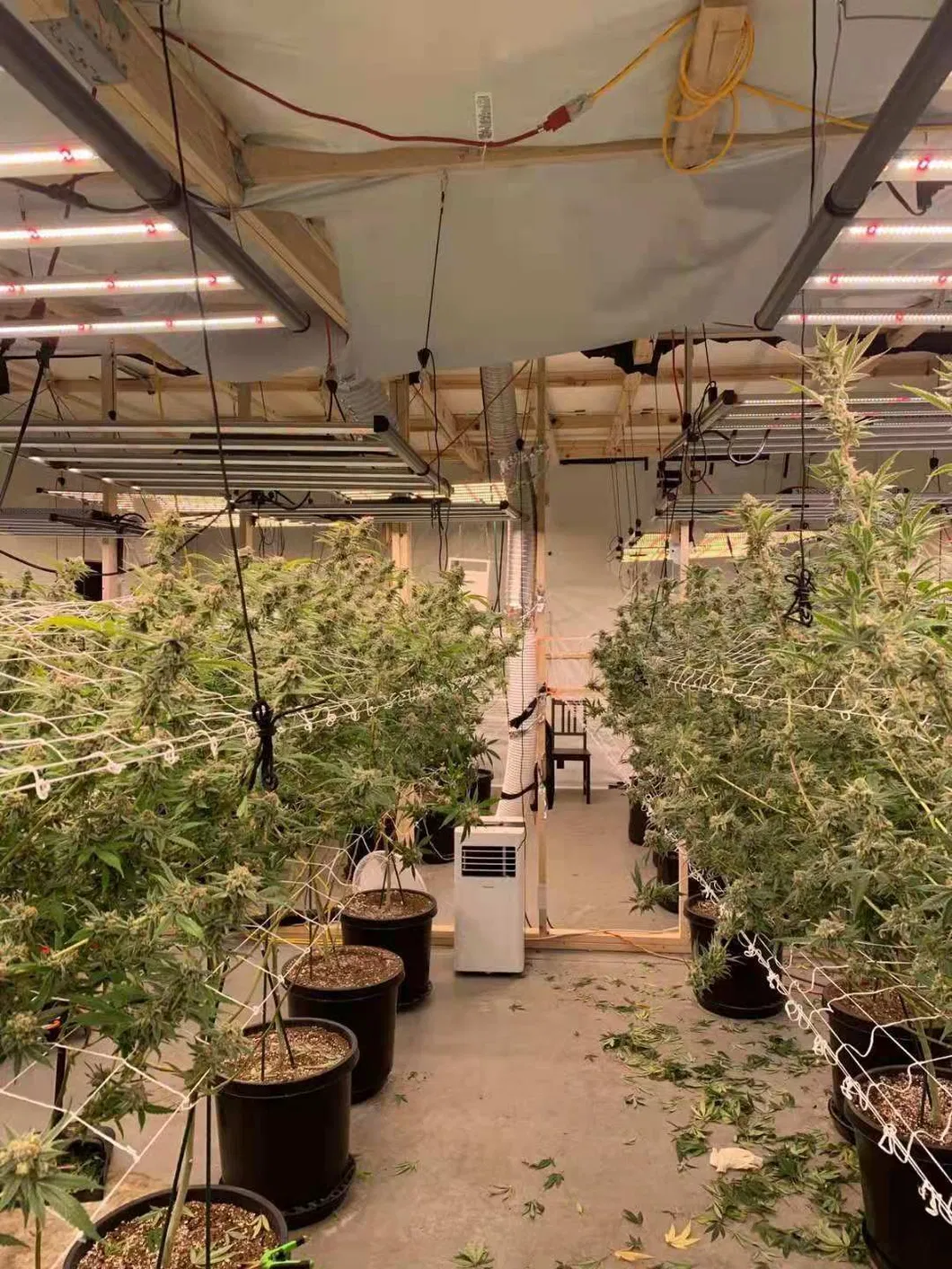 ETL and CE Approved 800W Commercial Full Spectrum LED Vertical Grow Bars with CO2 Diffusion Function Daisy Chain