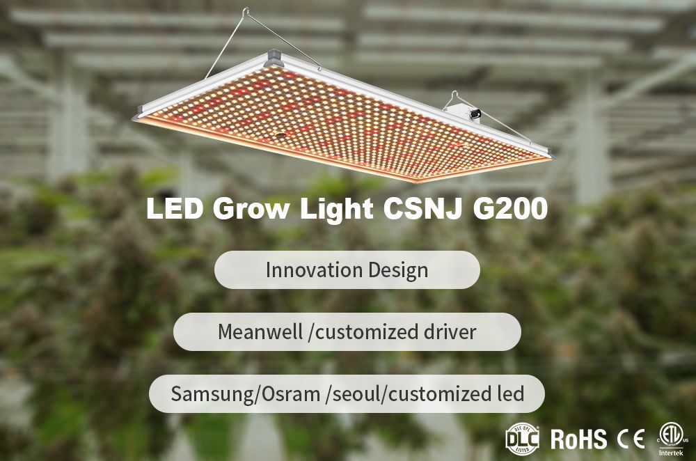 ETL and CE Certified Professional Full Spectrum LED Indoor Plant Lights 240W Dimmable LED Sunlight Grow Lamp Dimmable