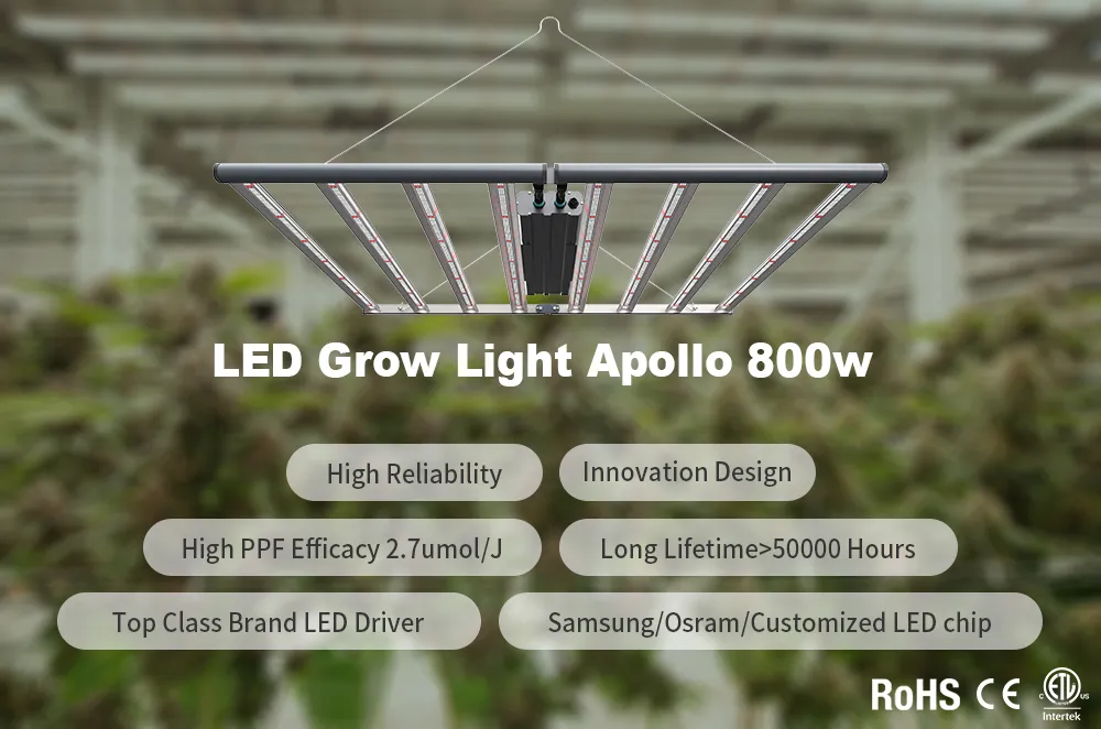 ETL Certified Commercial Full Spectrum Best LED Grow Bar Lights 8bars 800W for Plants 0-10V Dimmable Daisy Chain