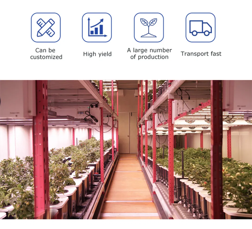 ETL cETL Canada USA Wholesale Vertical Farm Samsung LED Grow Light for Indoor Plants Lm301b 561c Vs 1000W HPS