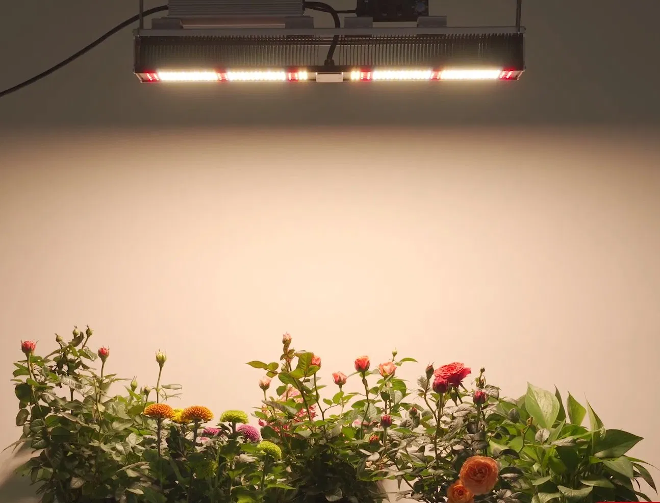 ETL IP65 300W Fluence Customized Full Spectrum LED Grow Light for Indoor Plants