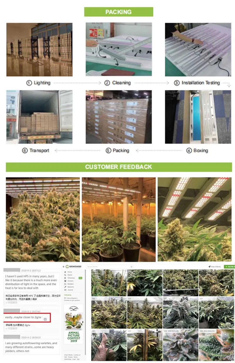 Everlight Samsung Lm301h LED Grow Bar Smart Control System 600W Spyder LED Grow Light with 6 9 12 Bars