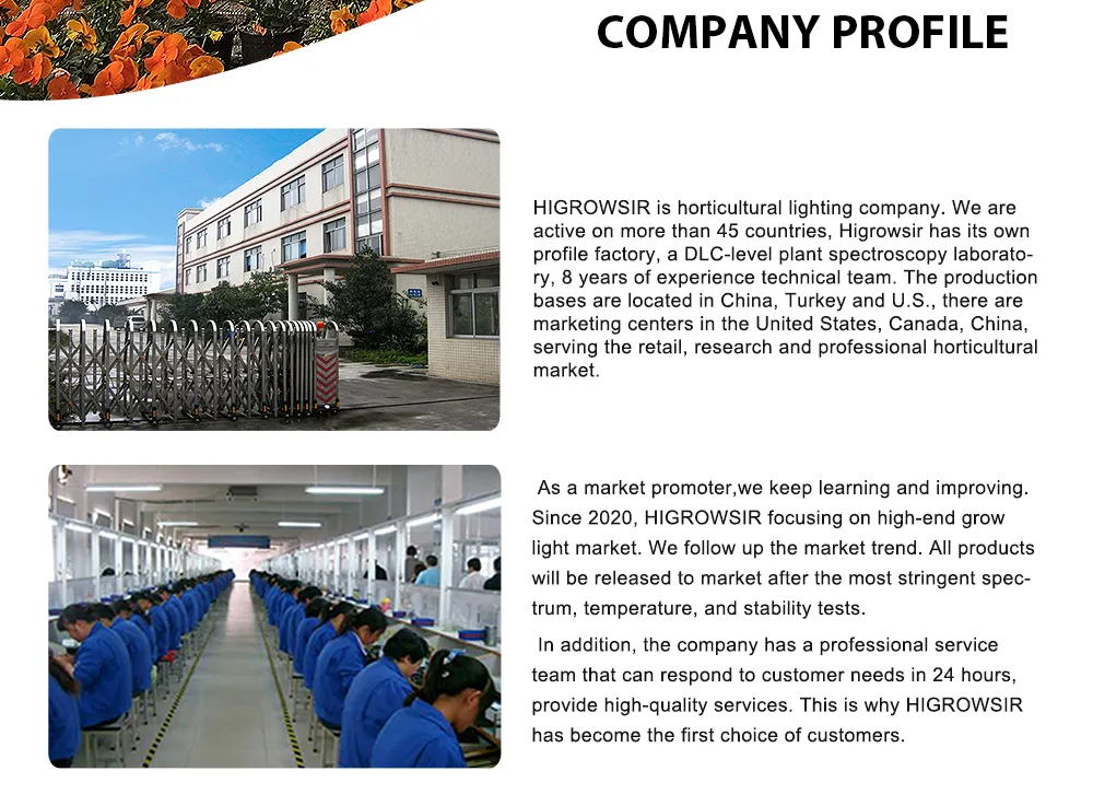 Factory Direct Sale 1000W Full Spectrum Tent Plant LED Grow Light