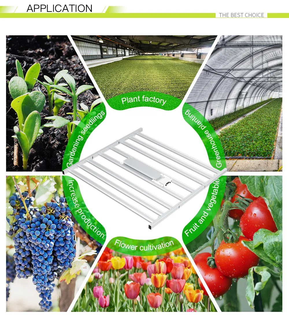 Factory Direct Sale 1000W Full Spectrum Tent Plant LED Grow Light