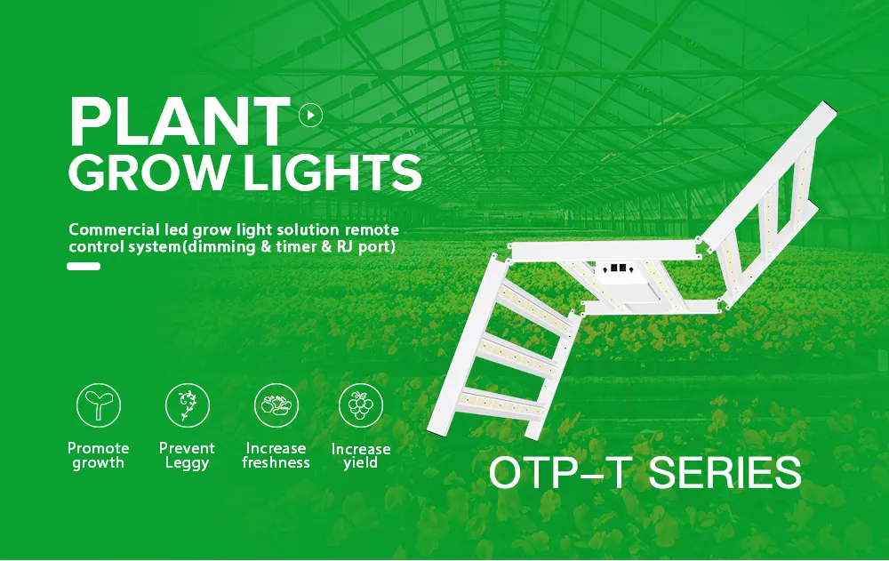 Factory Direct Sale 1000W Full Spectrum Tent Plant LED Grow Light
