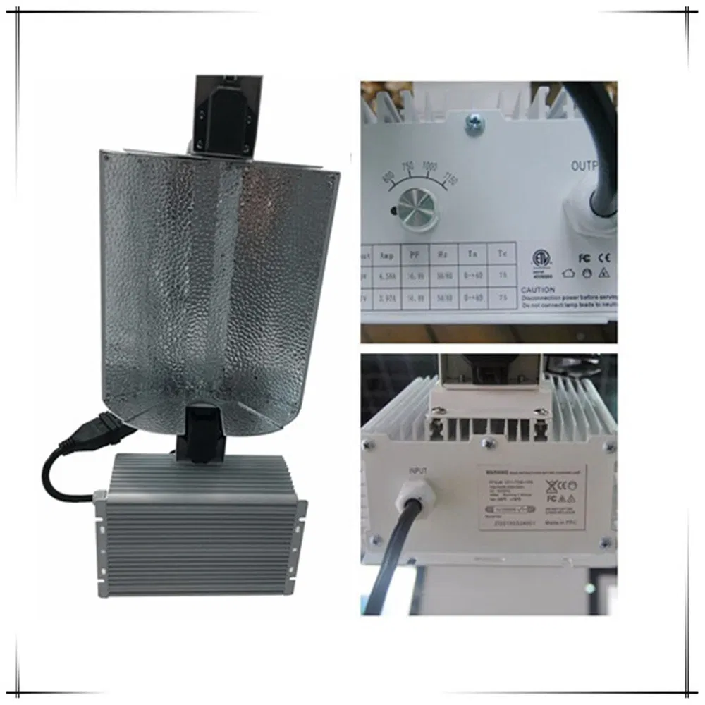 Fluorescent De Grow Light System