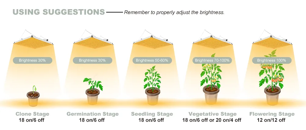 Free Assembly Competitive Price 240W LED Plant Grow Light 301b Full Spectrum Indoor Grow Light Dimmable