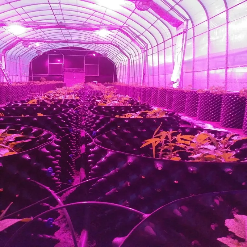 Full Spectrum 1000W Grow Light with UV IR for Greenhouse Hydroponic Indoor Plants Veg and Flower LED Grow Light