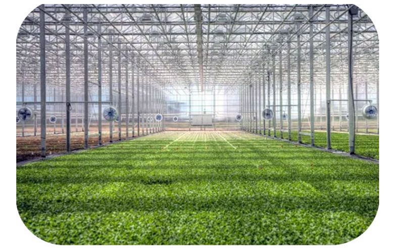 Full Spectrum Horticulture Plant Lights for Indoor Plants, 600W Medical Plant Commercial LED Grow Light Bar