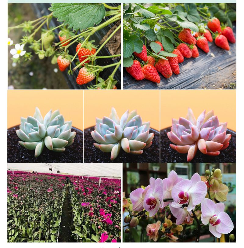 Full Spectrum Horticulture Plant Lights for Indoor Plants, 600W Medical Plant Commercial LED Grow Light Bar