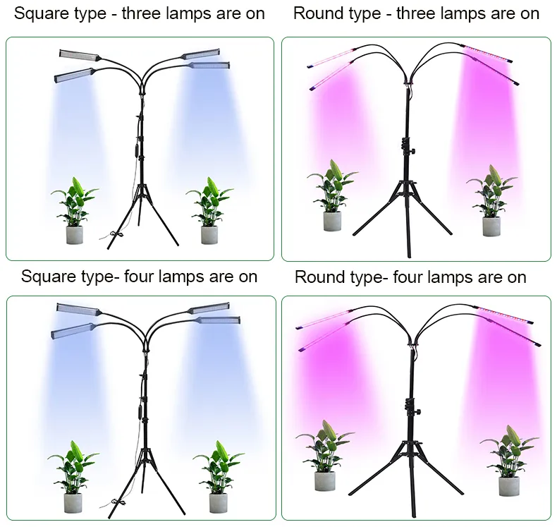 Full Spectrum Indoor Plants Adjustable Goose Neck 4 Switch Modes 65cm-160cm Height Grow Lights with Bracket