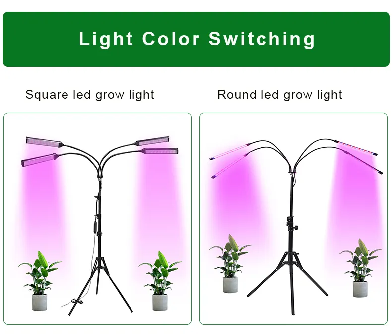 Full Spectrum Indoor Plants Adjustable Goose Neck 4 Switch Modes 65cm-160cm Height Grow Lights with Bracket