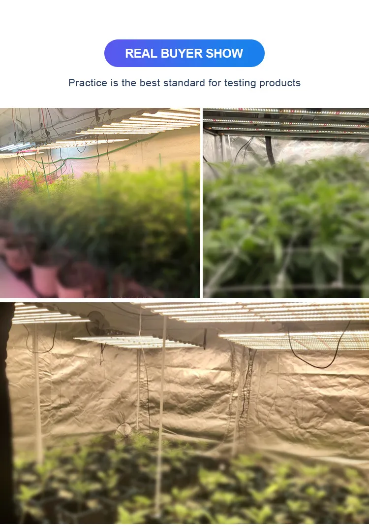 Full Spectrum LED Grow Lamp for Farm Hydroponic Growth 480W 600W 660W 800W Ultraviolet Foldable Dimmable Panel LED Plant Grow Light with Stand