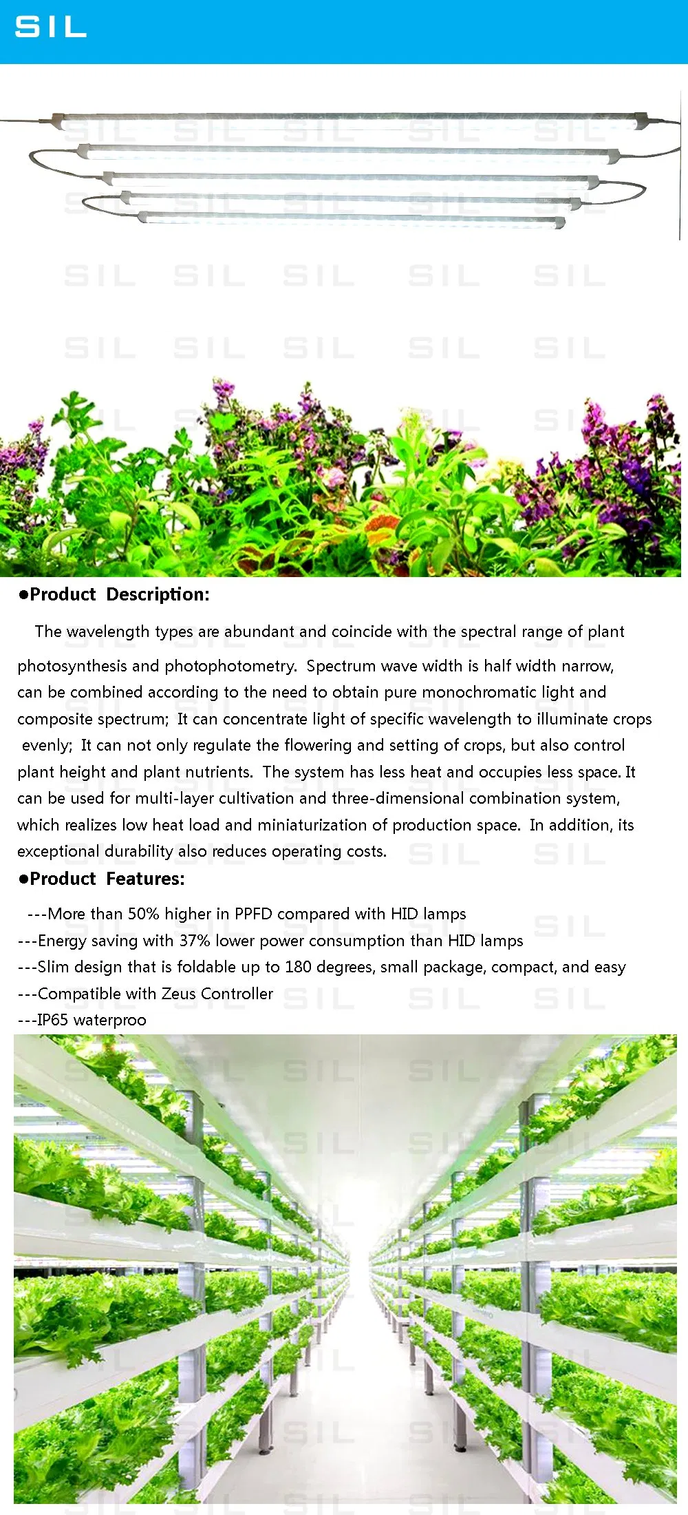 Full Spectrum Red LED Light Hofoled High Ppfd Indoor Plants Dimmable Quantum Board 1.2m LED Grow Light Tube