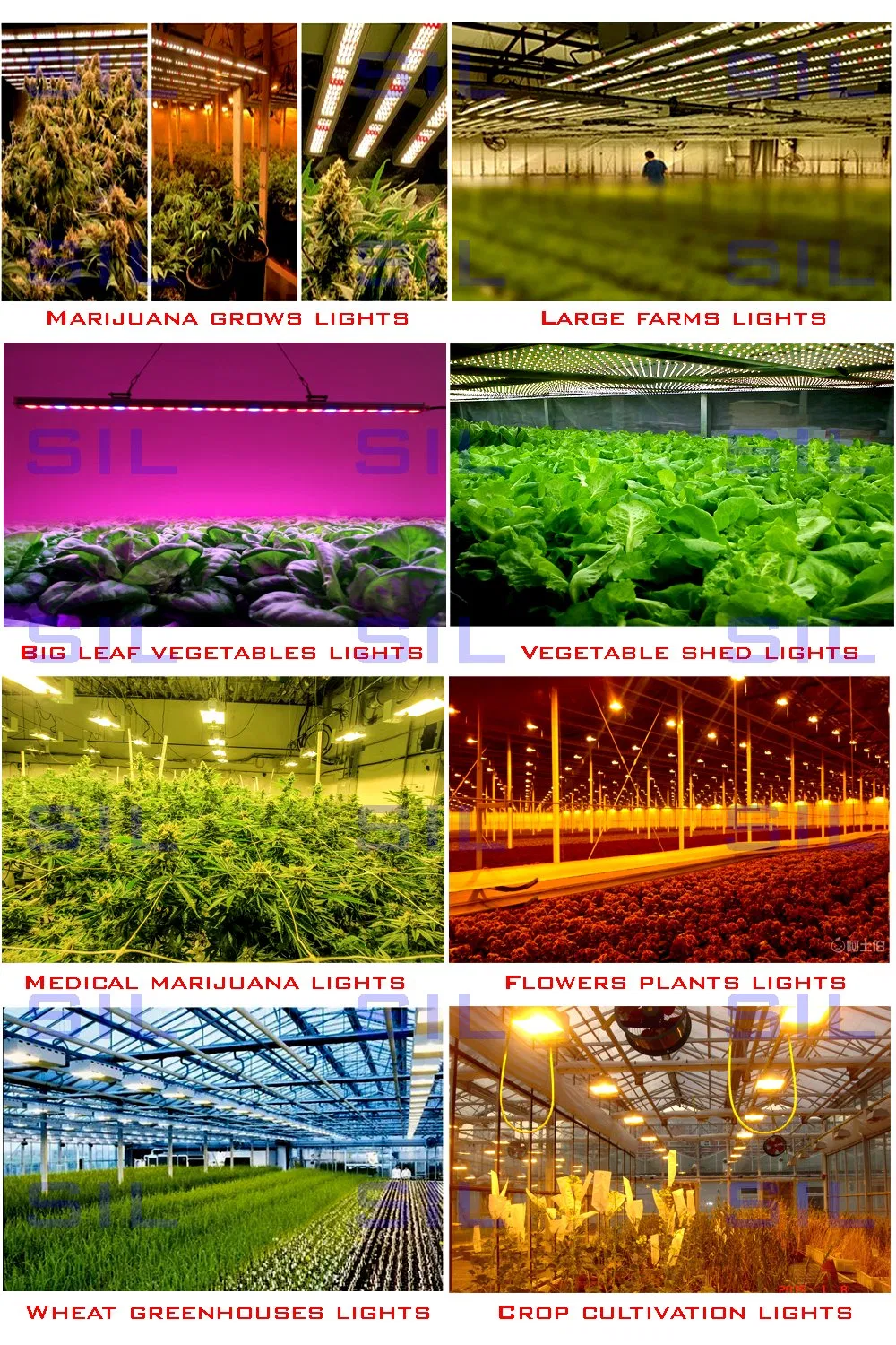 Full Spectrum Red LED Light Hofoled High Ppfd Indoor Plants Dimmable Quantum Board 2.4m LED Grow Light Tube