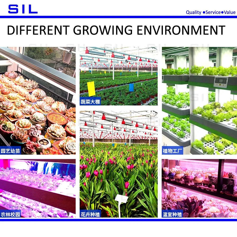 Full Spectrum Red LED Light Hofoled High Ppfd Indoor Plants Dimmable Quantum Board 2.4m LED Grow Light Tube