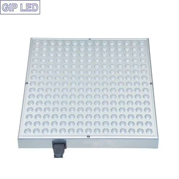 Gip 45W LED Garden Red Blue Hanging Light