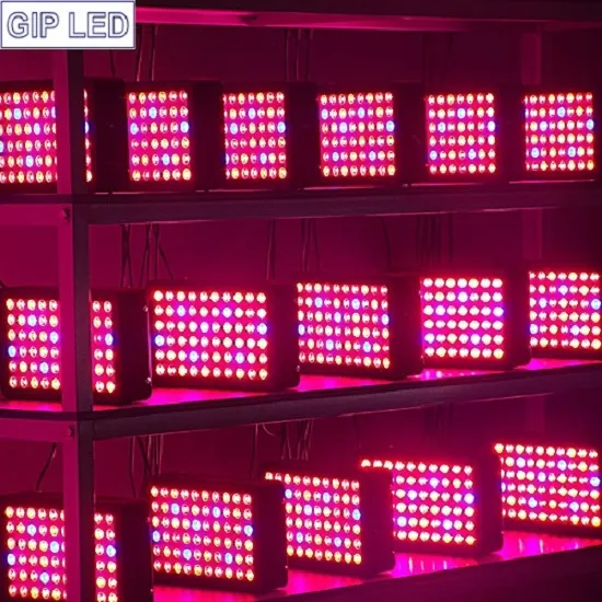 Gip Professional Agricultural Light 600W LED Grow Light