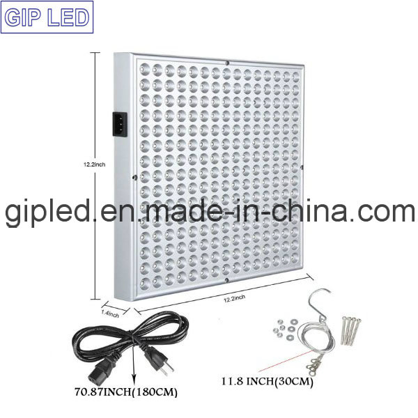 Gip Red Blue 45W LED Grow Lights for Garden Greenhouse