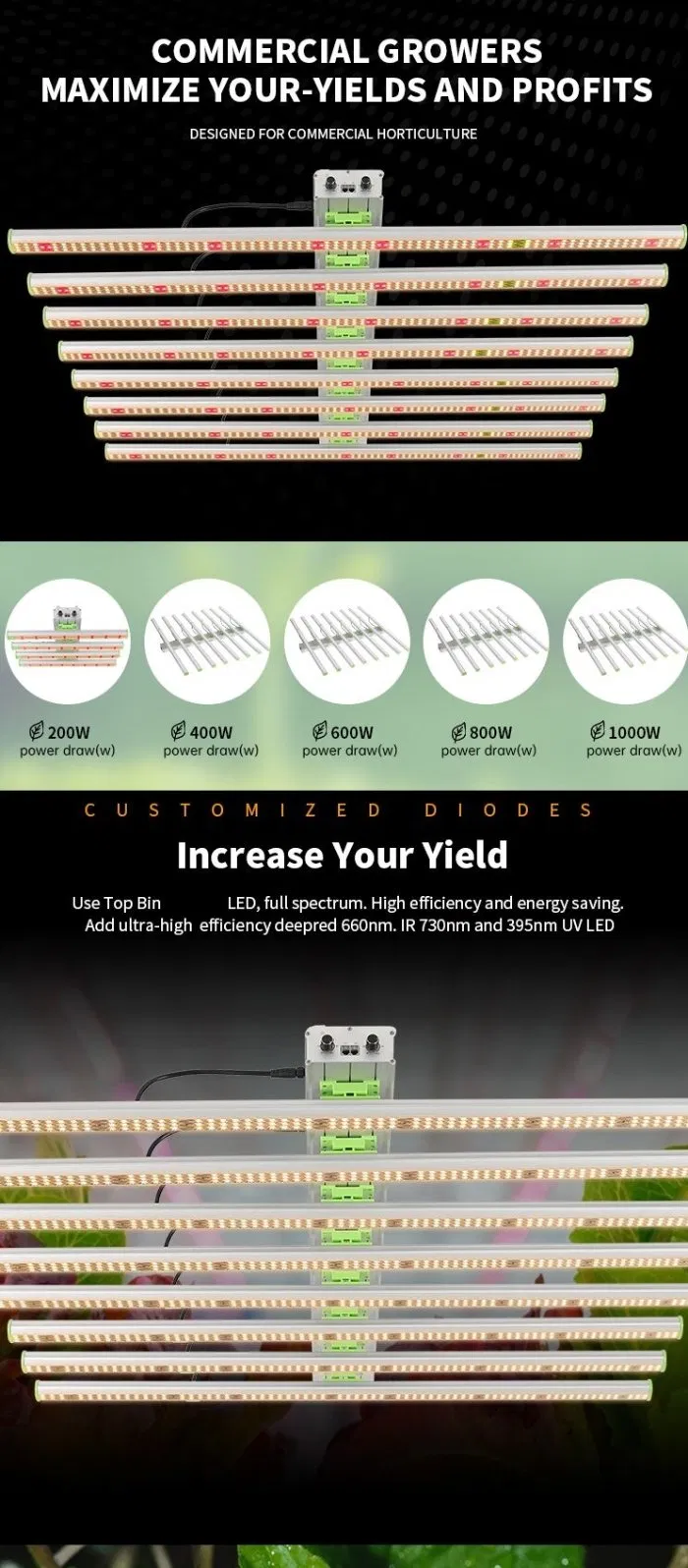 High Performance 800W Aluminum Rygh Plant LED Grow Light Rygh-Bz800