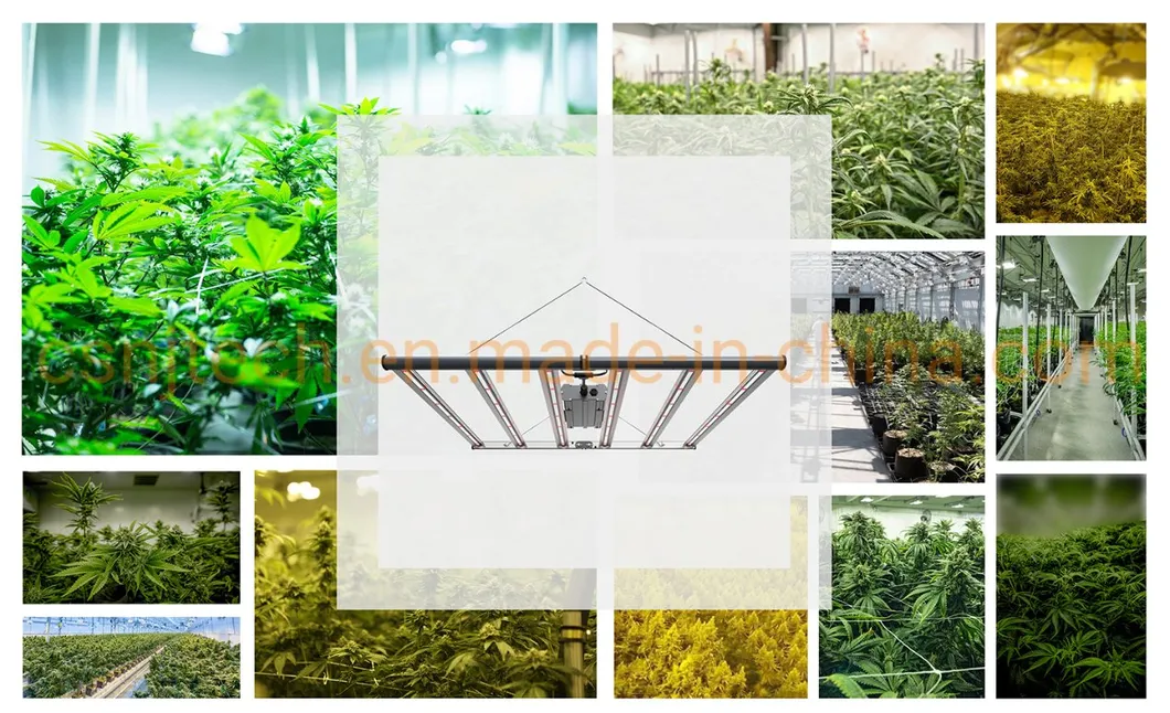 High Performance Vertical Farming 800W 1000W 8 Bars Plant Light Samsung 301b 301h Grow Lamp LED Full Spectrum Grow Lights