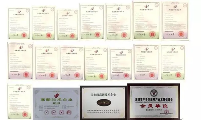 High Ppfd BLE Full Spectrum LED Grow Light for Plants Growing